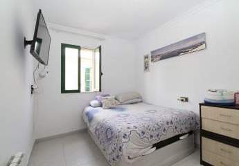 484081-Vorschaubild4