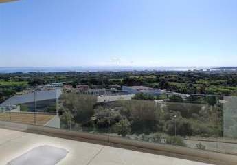 484206-Vorschaubild3