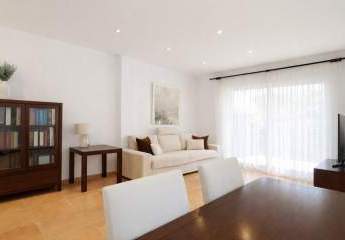 485428-Vorschaubild4