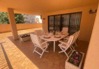 486025-Vorschaubild2