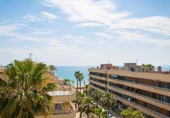 486495-Vorschaubild3