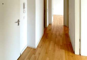 427534-Vorschaubild3