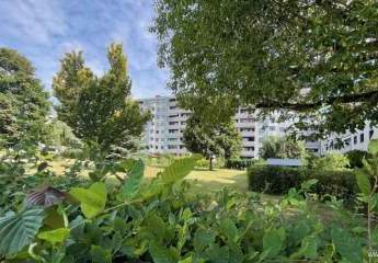 354932-Vorschaubild4