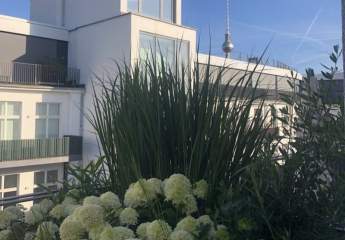 401677-Vorschaubild3