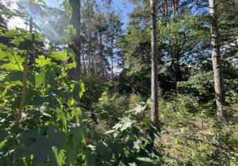 431214-Vorschaubild3