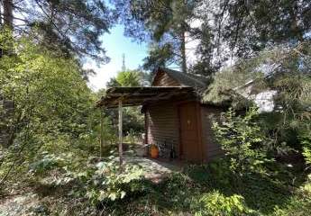 431214-Vorschaubild4