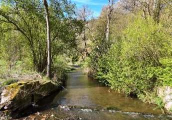 434096-Vorschaubild4