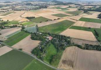 441749-Vorschaubild2