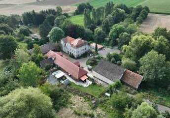 441749-Vorschaubild3