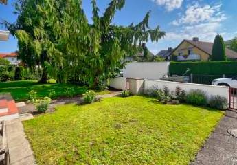 441847-Vorschaubild2