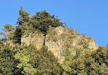 Campingplatz in beliebter Urlaubsregion - umsatzstarke Vollexistenz in Bestzustand, Betreiberwohnung