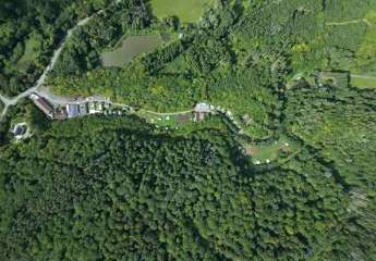 449501-Vorschaubild2