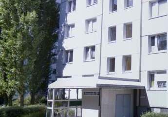 458294-Vorschaubild4