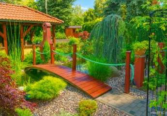 449754-Vorschaubild3