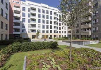 451125-Vorschaubild3