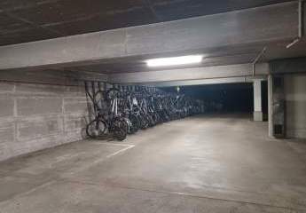 465265-Vorschaubild3