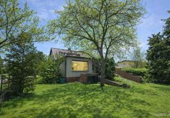 466936-Vorschaubild3