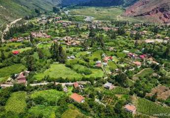 469018-Vorschaubild4