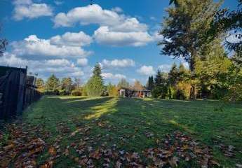 471257-Vorschaubild4