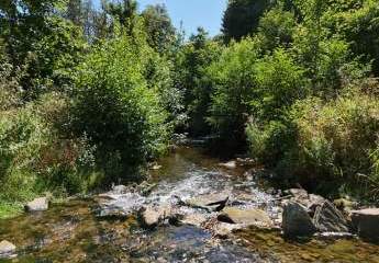 Campingplatz, Zimmervermietung und Gastronomie - gepflegte Familienexistenz in der Eifel