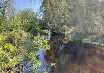 TOP-Campingplatz in Thüringen zu verkaufen - lukrative Vollexistenz in Thüringen nahe Rennsteig