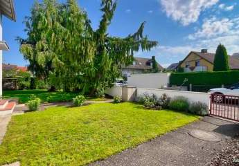 441847-Vorschaubild3