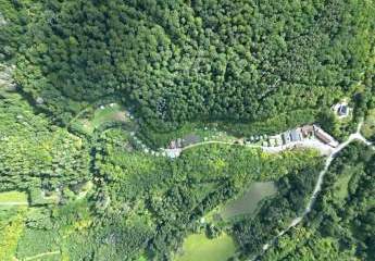 449501-Vorschaubild3