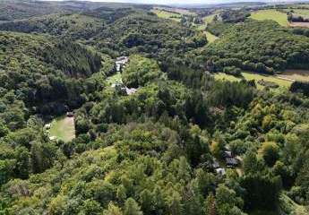 449501-Vorschaubild4