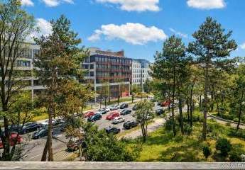 462730-Vorschaubild4