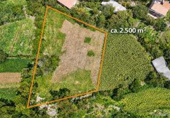 469018-Vorschaubild2