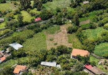 469018-Vorschaubild3