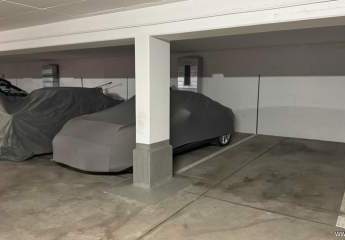 471316-Vorschaubild2