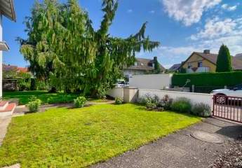 478320-Vorschaubild3