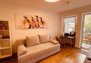 481932-Vorschaubild3