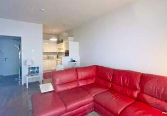 483668-Vorschaubild4