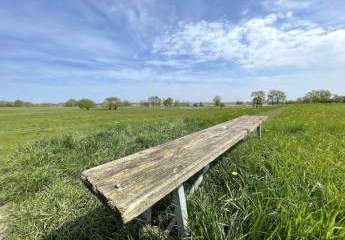 484226-Vorschaubild4