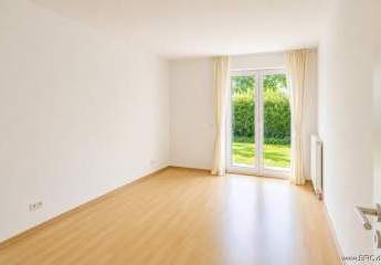 491564-Vorschaubild4