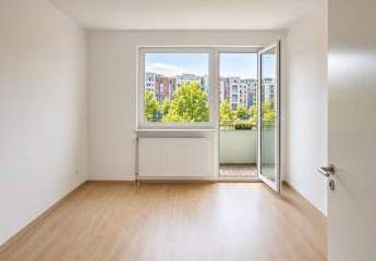 495178-Vorschaubild4