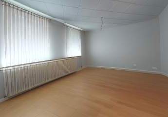 482716-Vorschaubild4