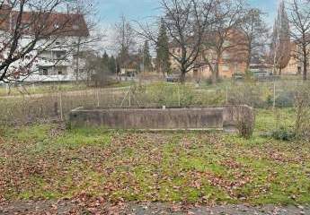 493596-Vorschaubild4