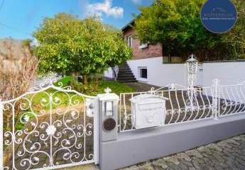 464256-Vorschaubild2