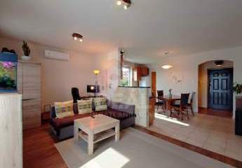 472918-Vorschaubild2