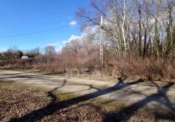 474228-Vorschaubild4