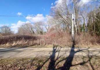 474228-Vorschaubild2