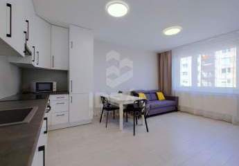 478437-Vorschaubild3