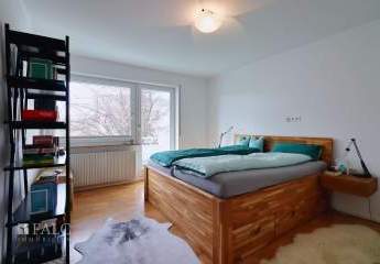 467499-Vorschaubild4