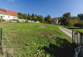 449259-Vorschaubild3