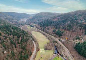 442239-Vorschaubild2