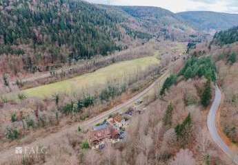 442239-Vorschaubild3