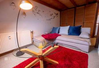 465145-Vorschaubild2